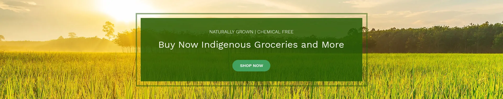 Naturally Grown and Chemical Free- Buy Now Indigenous Groceries and more