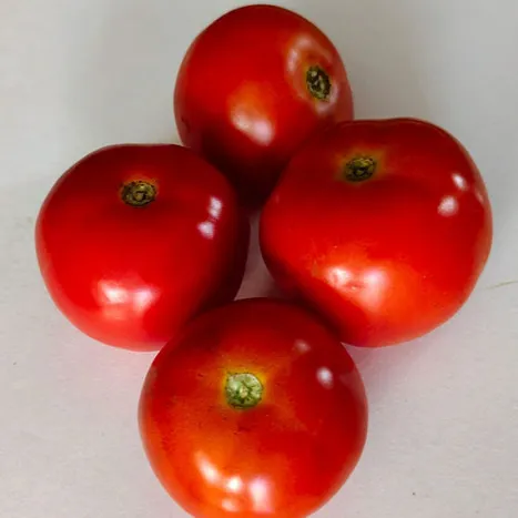 Naati tomato