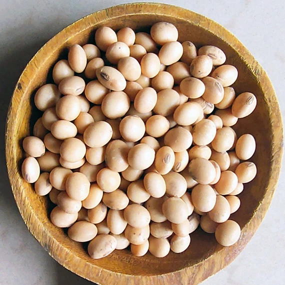 Yellow Soya Bean (Whole)