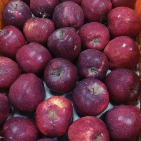 Kinnaur Apple Kinnaur Apple
