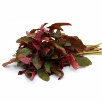 Buy Dantu (Amaranthus) Red Online in Bangalore