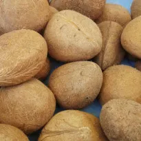 Dry Coconut Copra in Bangalore