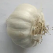Buy Organic Garlic Online in Bangalore