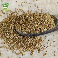Buy Natural Kodo millet Online in Bangalore