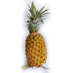 Buy Naturally Grown Pineapple Online in Bangalore