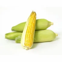 Buy Organic Sweet corn Online in Bangalore